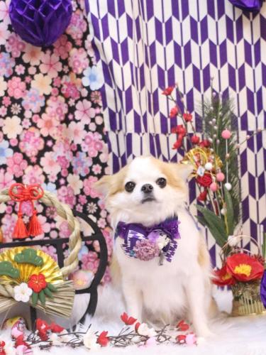 20250126くうくん